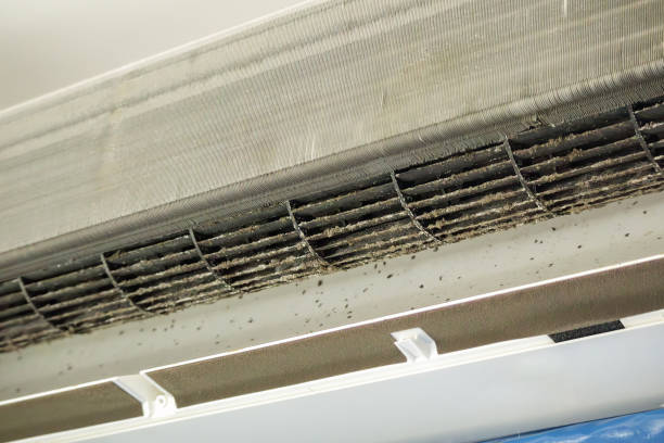Best Ductwork Cleaning Services  in Dearborn, MI